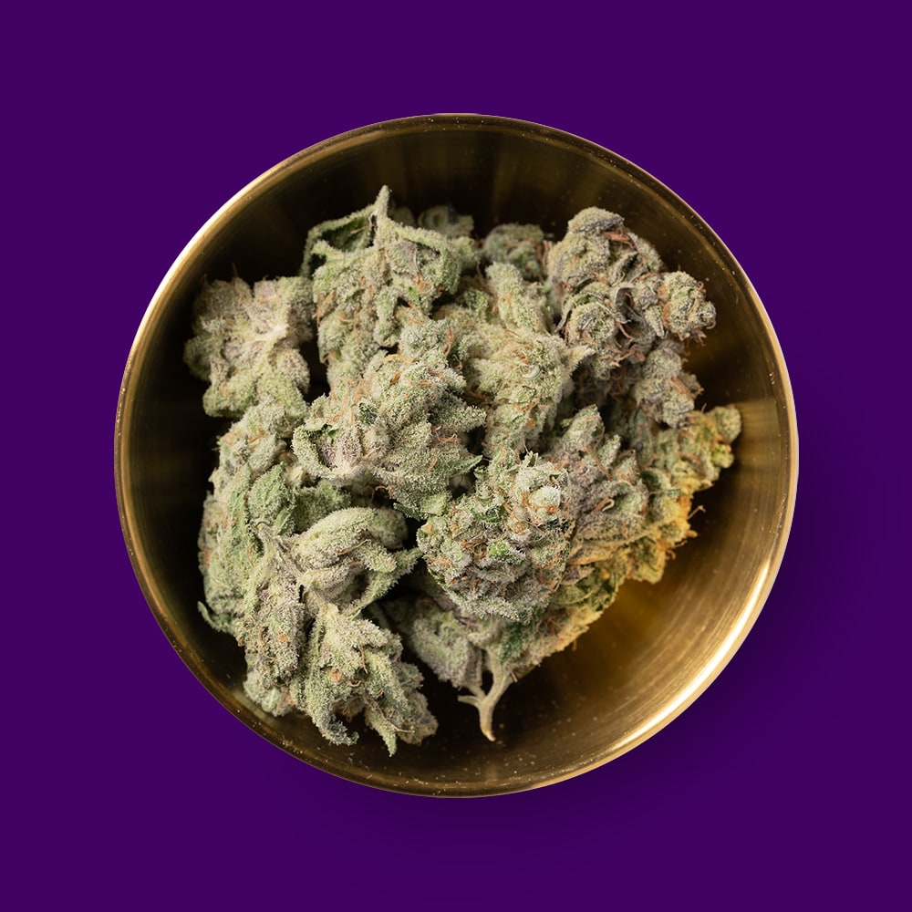 Buy Sour Garlic Cookie 27 Canada