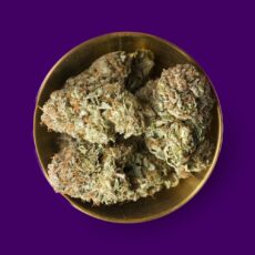Kami Kush