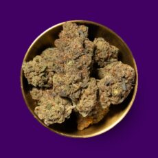 Doc Mountain Cheap Oz.